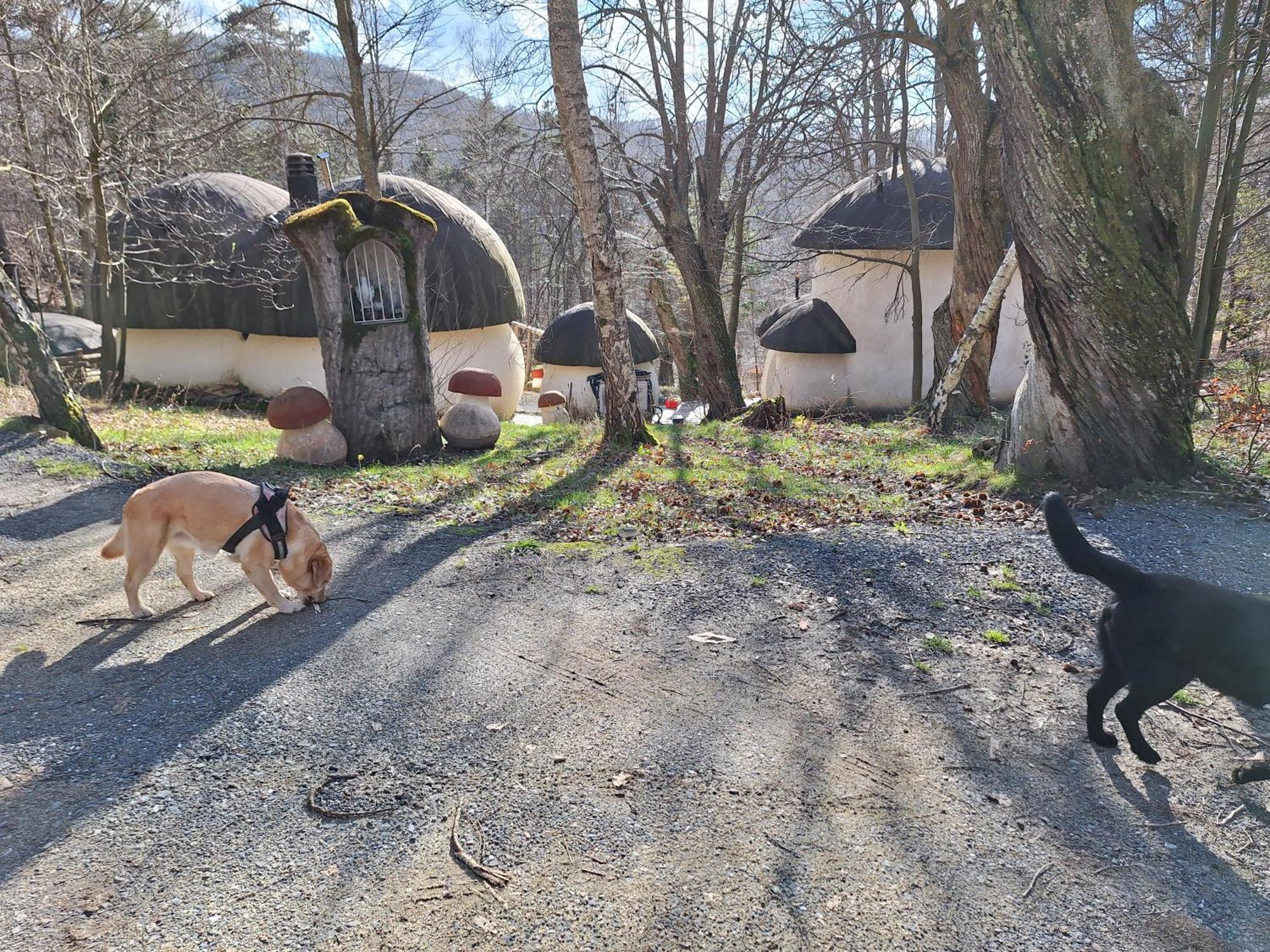 Il Villaggio Dei Puffi Bardineto Exterior foto